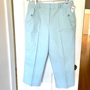 Light Blue Stretchy Cropped Pants